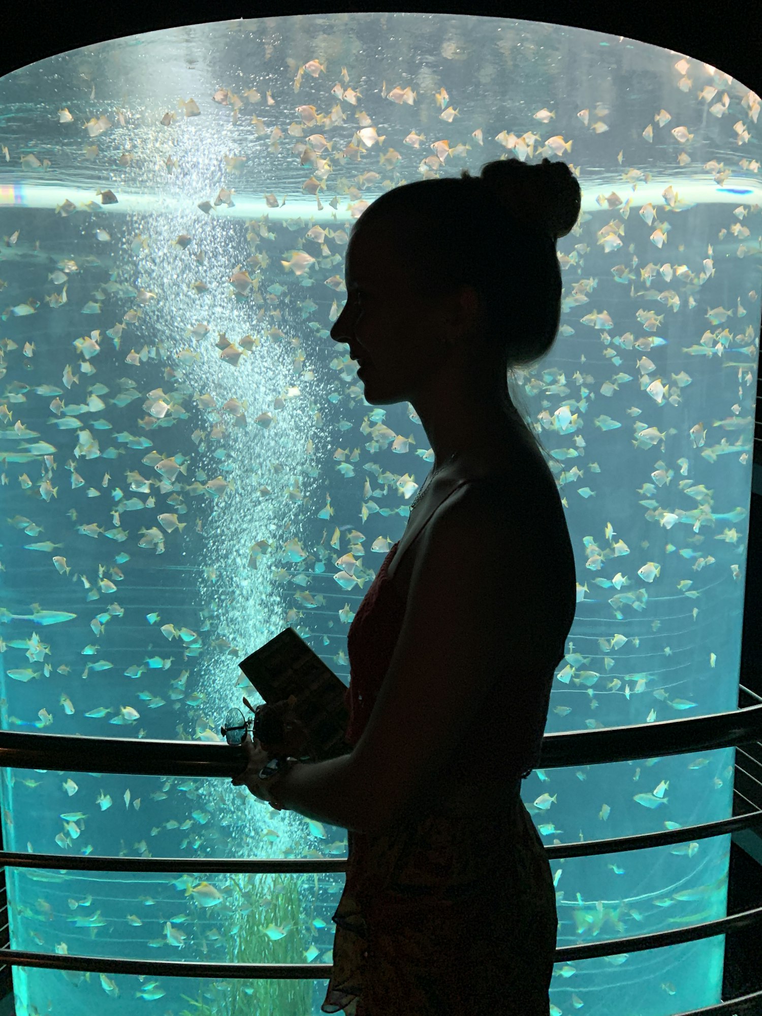 Profile of a girl standing in front of an illuminated aquarium